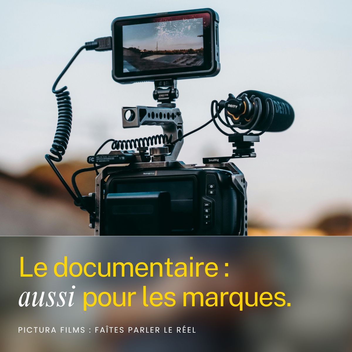 Documentaire : aussi pour les marques